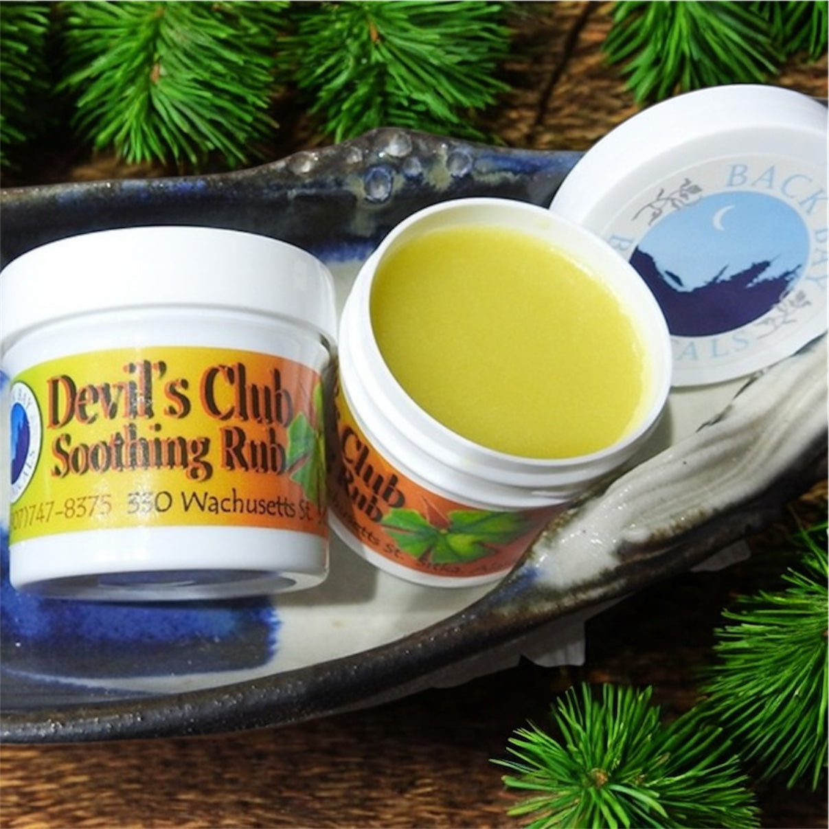 Back Bay Botanicals Devil's Club Balms 2oz.