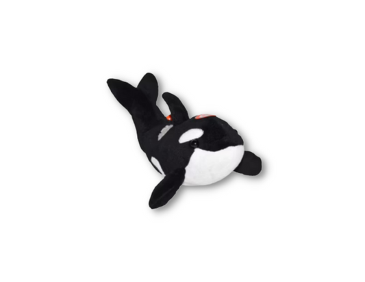 Plush Orca- 8" with sound